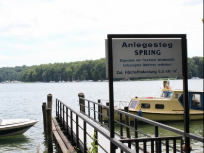 Foto: Am Spring